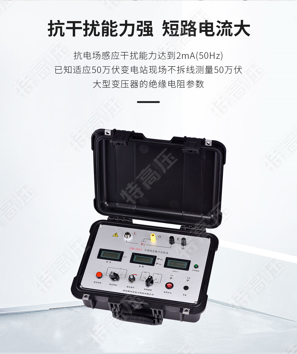 GM-15kV 可調(diào)高壓數(shù)字兆歐表(圖2) 數(shù)字式兆歐表